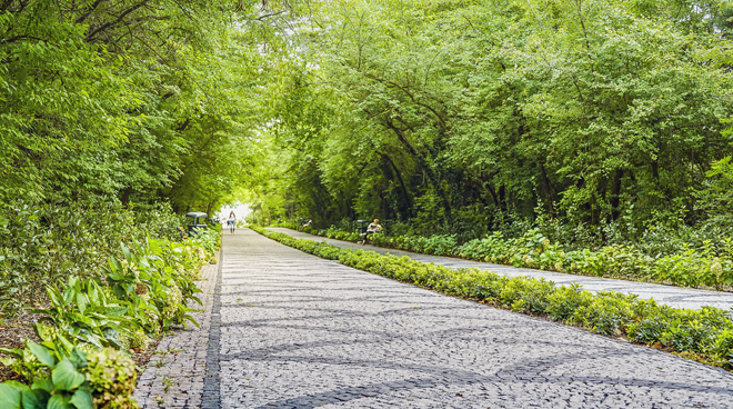 İTÜ Ayazağa Campus is the World’s 71st, Europe’s 37th Greenest Campus Görseli