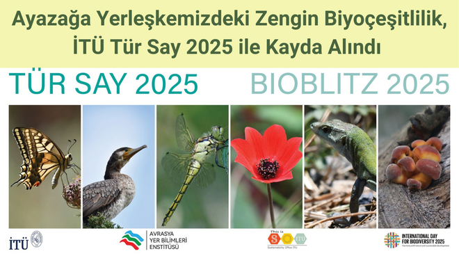 Ayazağa Yerleşkemizdeki Zengin Biyoçeşitlilik, İTÜ Tür Say 2025 ile Kayda Alındı Görseli